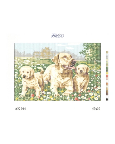 Vyšívací sada 30x40 cm, vzor AK-004