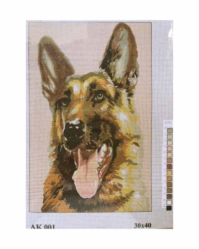 Vyšívací sada 30x40 cm, vzor AK-001